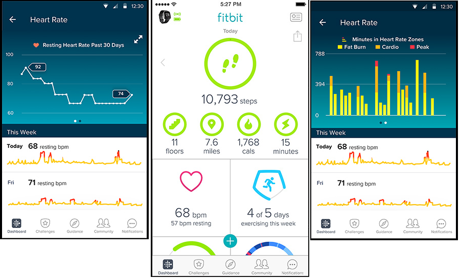 fitbit-mobile-application-01