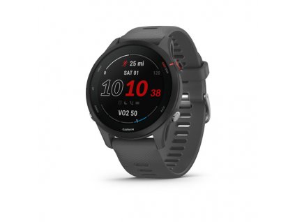 garmin forerunner 255 slate grey 01