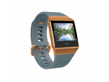 Fitbit Ionic - Slate Blue/Burnt Orange