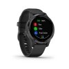 garmin vivoactive 4S pvd black slate 01