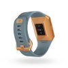 Fitbit Ionic - Slate Blue/Burnt Orange