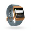 Fitbit Ionic - Slate Blue/Burnt Orange