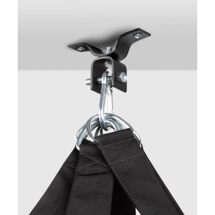 233497 ceiling hook ringhorns 1