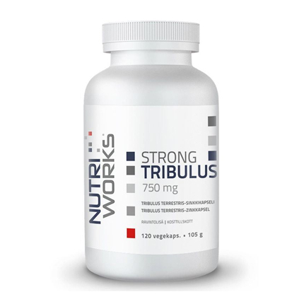 b5bf35cda796f5a8918d752fc7889ebb