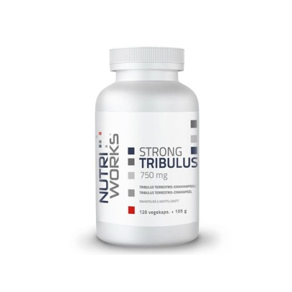 e152c9bb8ae6d64ebbecfa718a1181f6