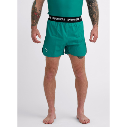 no gi sortky IPPONGEAR Fight Shorts Air green