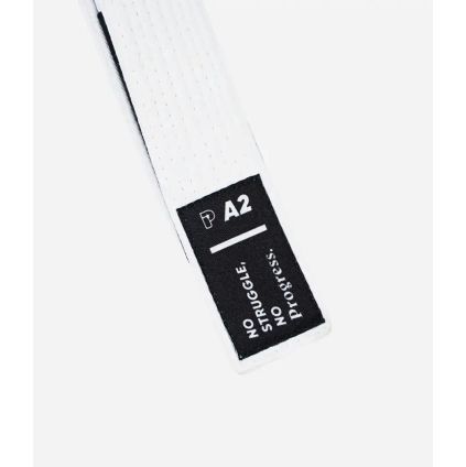 Belt 9