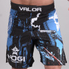trenky sortky mma valor assassin artwork f1