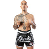 8 weapons muay thai shorts super mesh taiga3
