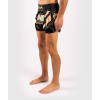 muay thai shorts venum xonefc blackgold 2