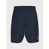 ua short graphic nvy 4