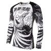 244263 2 rashguard tatami phoenix f4