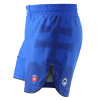 Lehké MMA kraťasy Ground Game SLOVENSKO - modré (Velikost XS)
