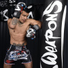 muay thai sortky kratasy thajsky box 8w cut like pro 2 f5