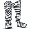 252129 2 chranice holeni budda zebra f2