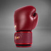 Boxerské rukavice Venum Power 2.0 - Wine Liees (Velikost 10oz)