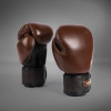 Boxerské rukavice Venum Power 2.0 - Chocolate Brown (Velikost 10oz)