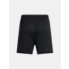252885 panske kratasy sortky under armour curry splash f2