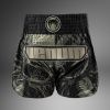 Muay Thai šortky Venum Invader - Black/Sand (Velikost XL)