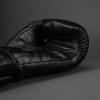 Boxerské rukavice Venum Impact Classic - Black (Velikost 10oz)