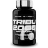 Scitec Nutrition Tribu 2000 90 tabliet