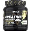 Amix Black Line Creatine Creapure 300 kapsúl