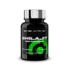 Scitec Nutrition Shilajit 60 kapsúl