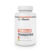 GYMBEAM Tribulus Terrestris 240 tbl