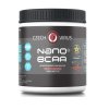 CZECH VIRUS Nano BCAA 500 g
