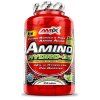 AMIX Amino Hydro 32 250 tabliet