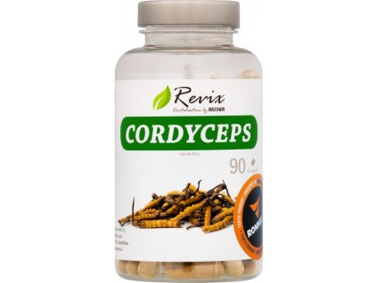 Cordyceps