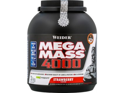 Mega Mass 4000