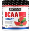 BCAA Instant