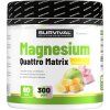 Magnesium Quattro Matrix