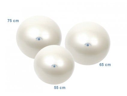 276 fit ball 55 cm perletova