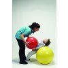 186 2 physio roll piskota 40 cm