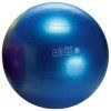 309 gymnic plus 65 cm modra