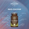 Mico-Polypor 70 kapslí Bio (Varianta Mico-Polypor 70 kapslí Bio)