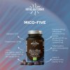 Mico-Five Immune System 70 kapslí Bio (Reishi, Maitake, Shiitake, Žampion, Chaga) (Varianta Mico-Five Immune System 70 kapslí Bio (Reishi, Maitake, Shiitake, Žampion, Chaga))