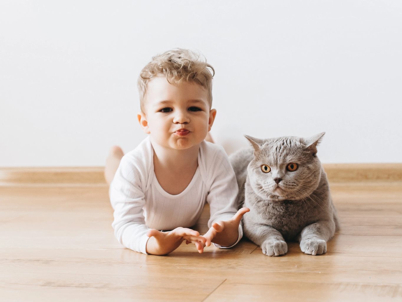Котките и бебетата – Страхуват ли се котките от децата?