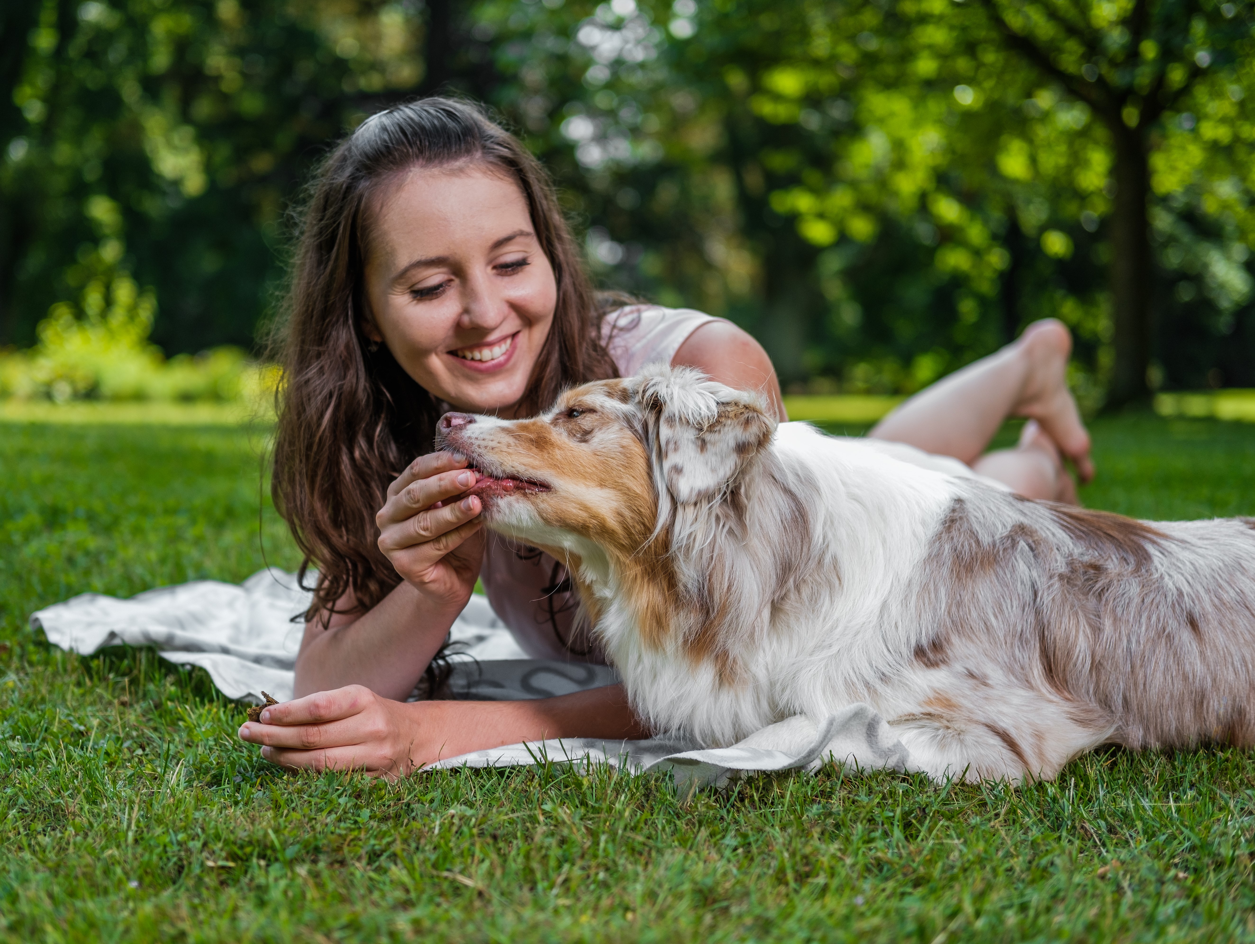 Poznejte alergické příznaky u psa a ulevte jejich projevům díky správnému krmivu
