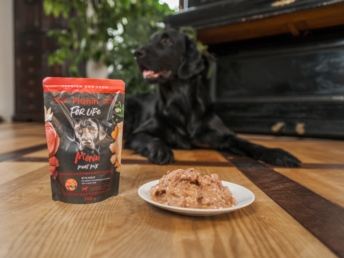 Vyzkoušejte nové produkty pro vaše psí mazlíčky