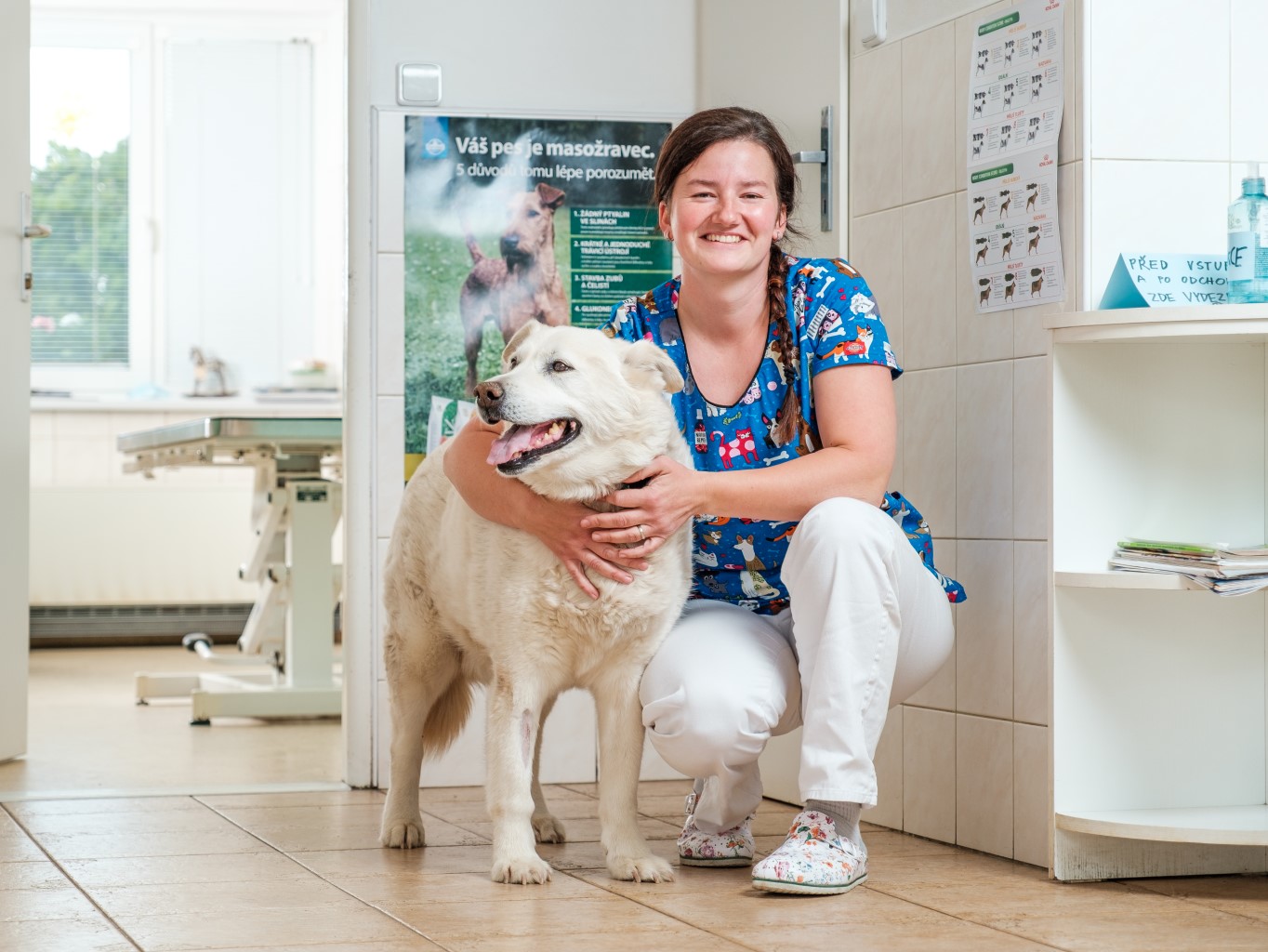 Veterinářka radí, jak si s domácími mazlíčky užít léto v klidu a bez zdravotních problémů