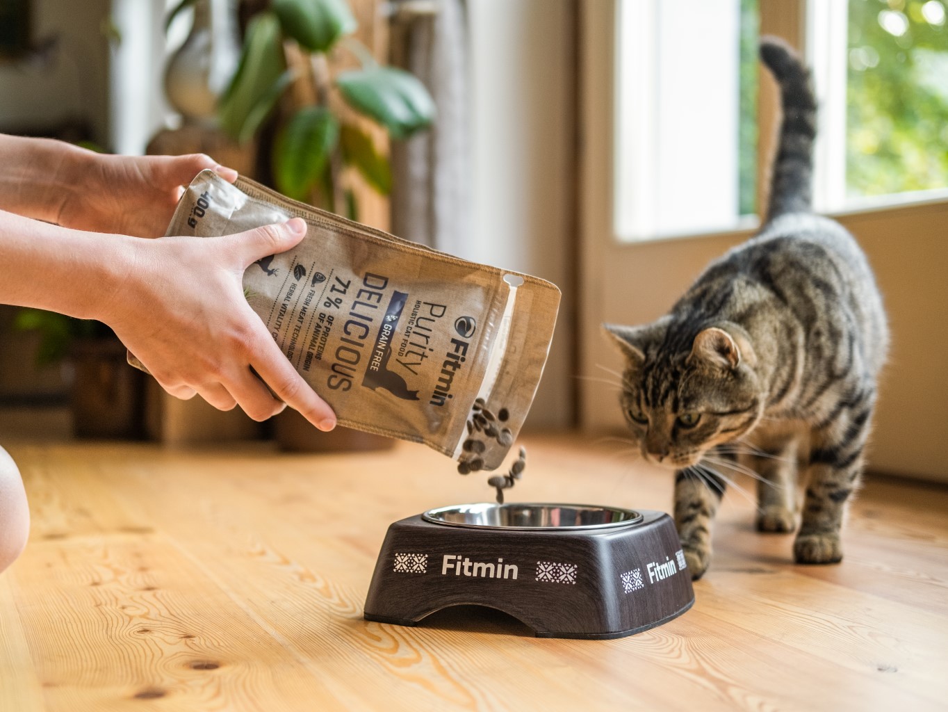 Kočky a výživa: Krmivo bez obilnin má svoje plus