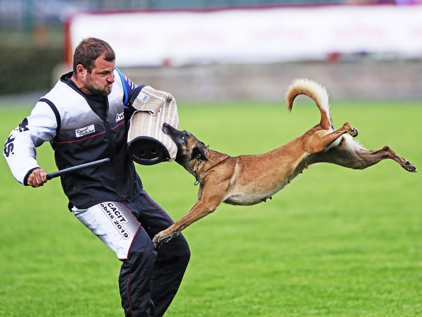 Sportovní kynolog Paleček: "Luky je můj životní pes."