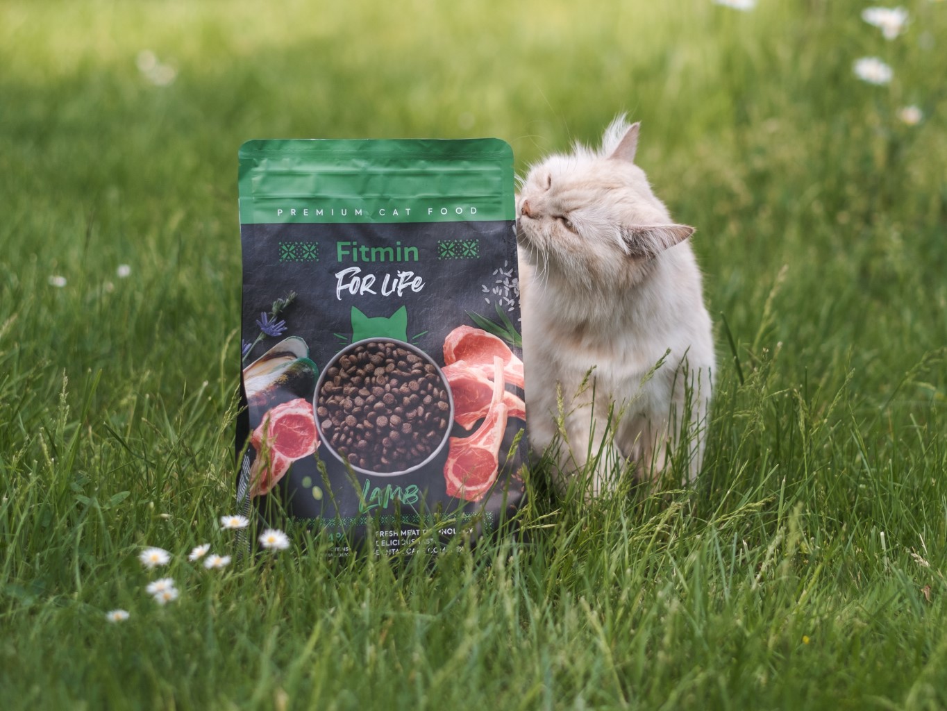 Jaký byl rok 2022 na fitmin.cz?