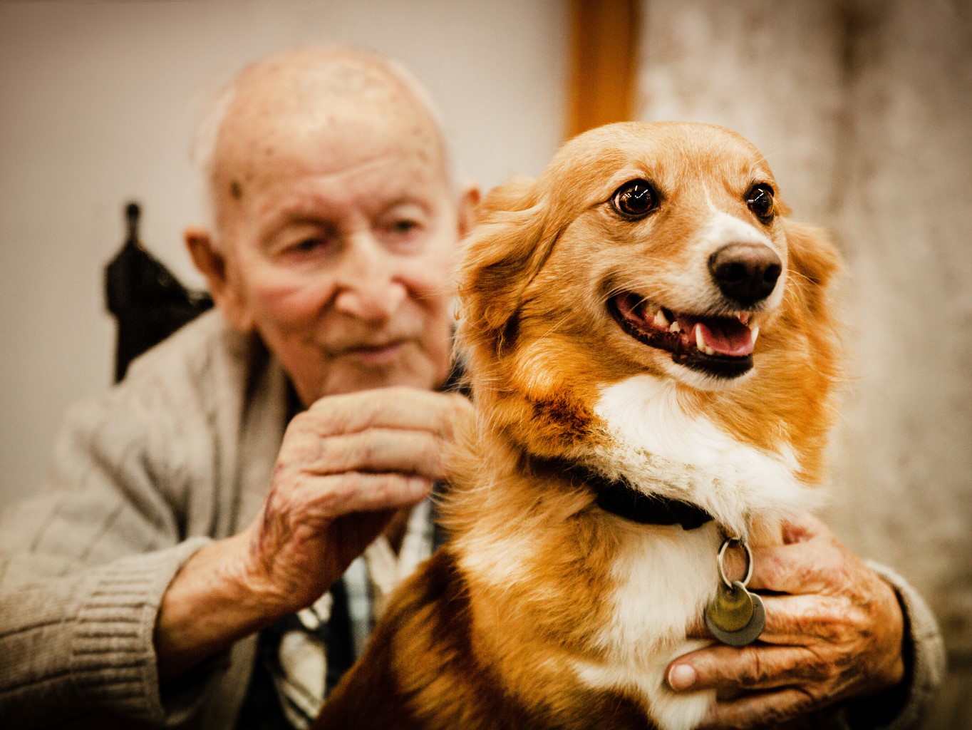 Fitmin díky spojení s neziskovou organizací Sue Ryder plní vánoční přání seniorům