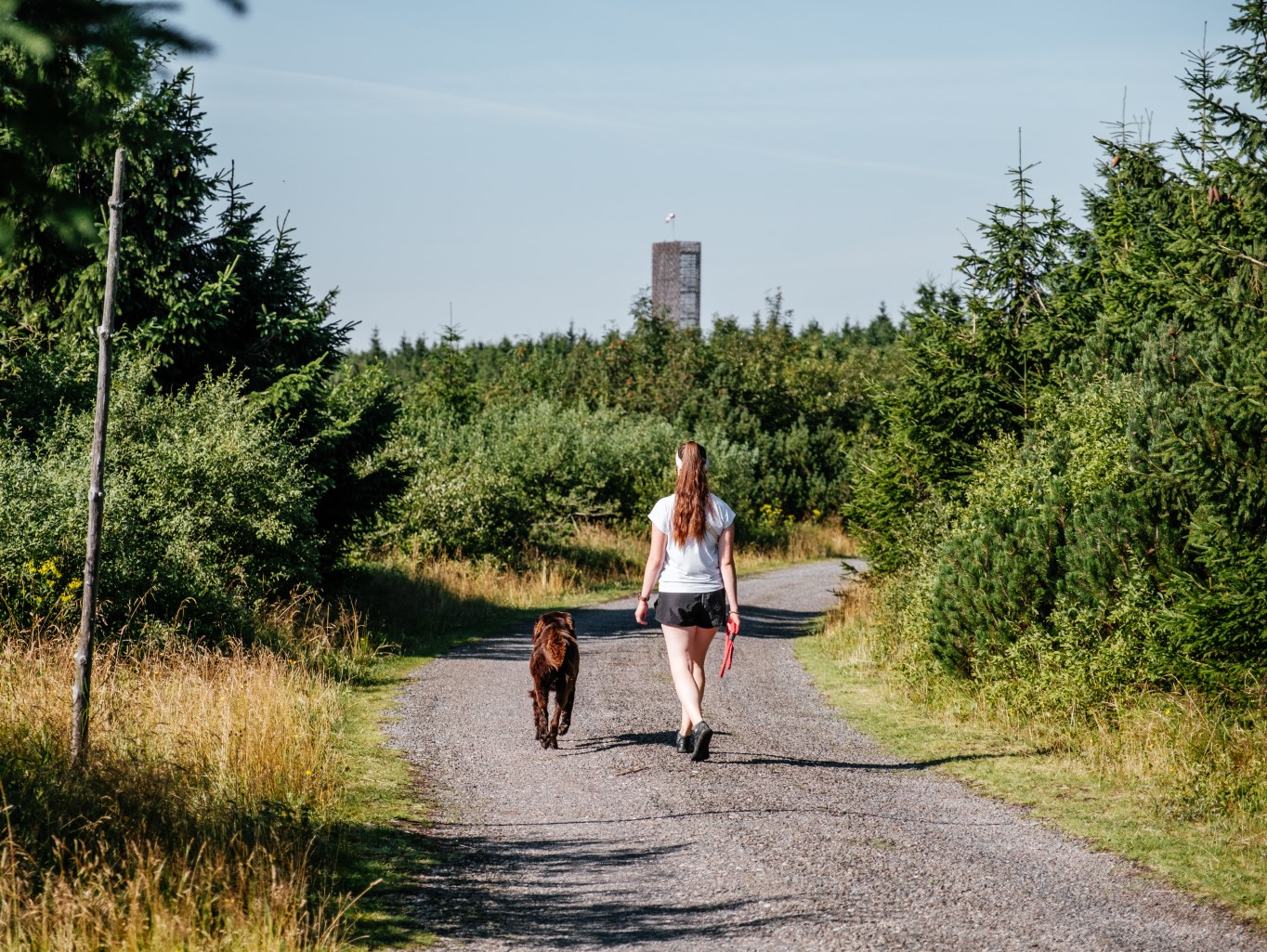 10 nejoblíbenějších výletů se psem po ČR