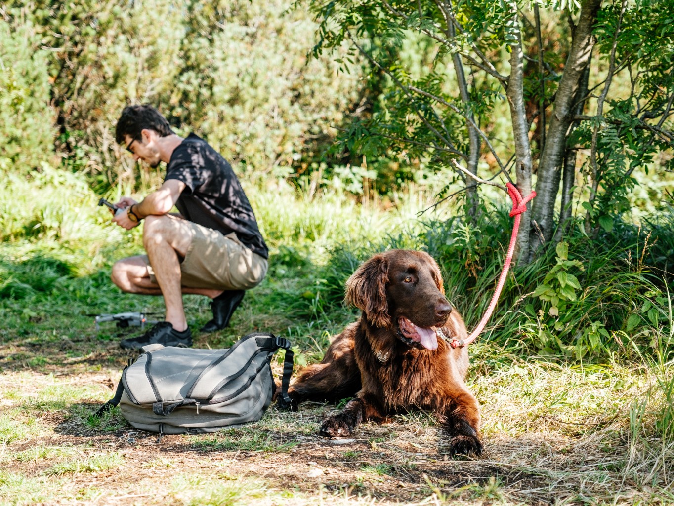 Klíšťata jako zdroj nemocí – jak na bezstarostné léto