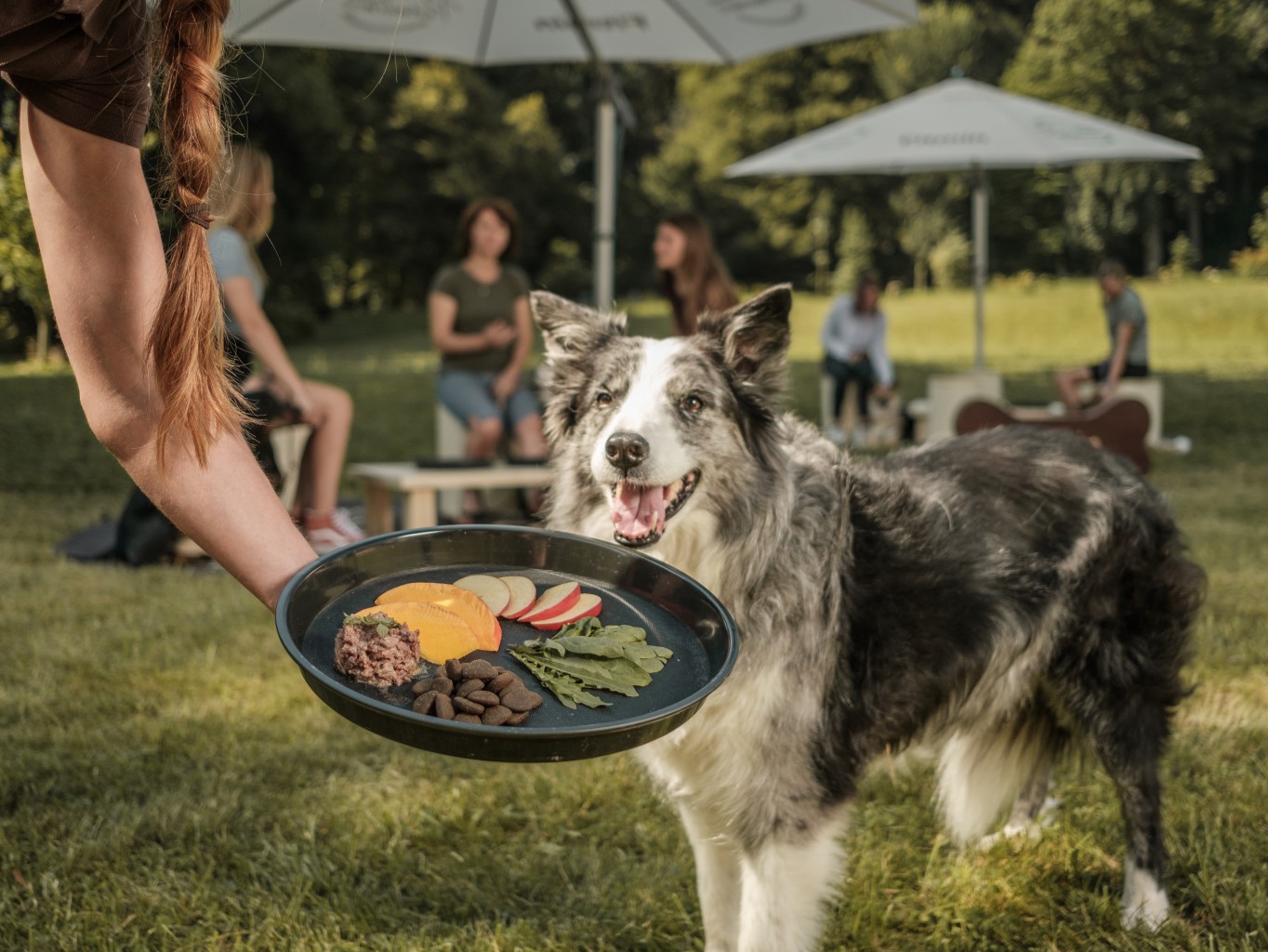 Dopřejte vašim mazlíčkům gastronomický zážitek v jedinečné psí restauraci